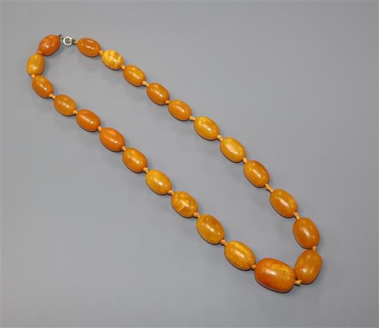 A single strand graduated oval amber bead necklace, gross weight 43 grams, 48cm.